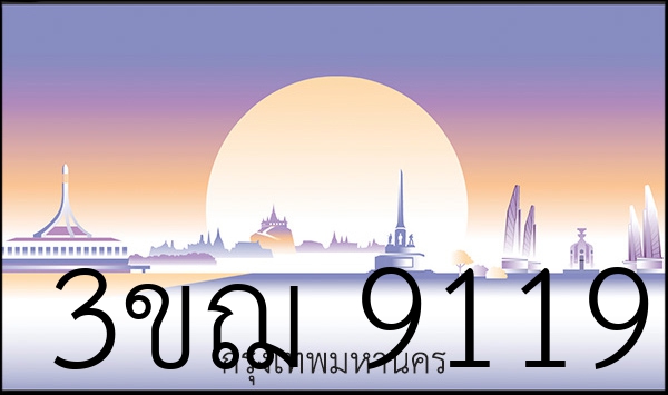 3ขฌ 9119